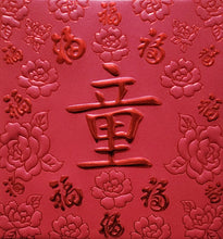 Load image into Gallery viewer, 百福（小）163童