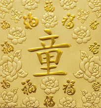 Load image into Gallery viewer, 百福（小）163童